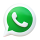 WhatsApp Icon